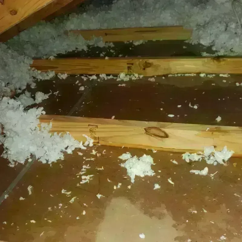 Attic Water Damage in Hillsborough, CA